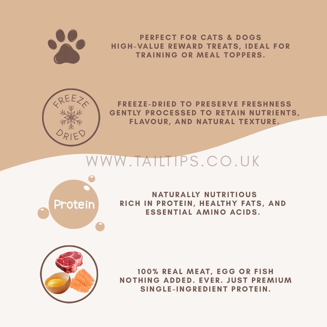 Salmon Swoon - 100% Freeze-Dried Salmon Treats | Pure & Natural | Tail Tips UK | 50g pack