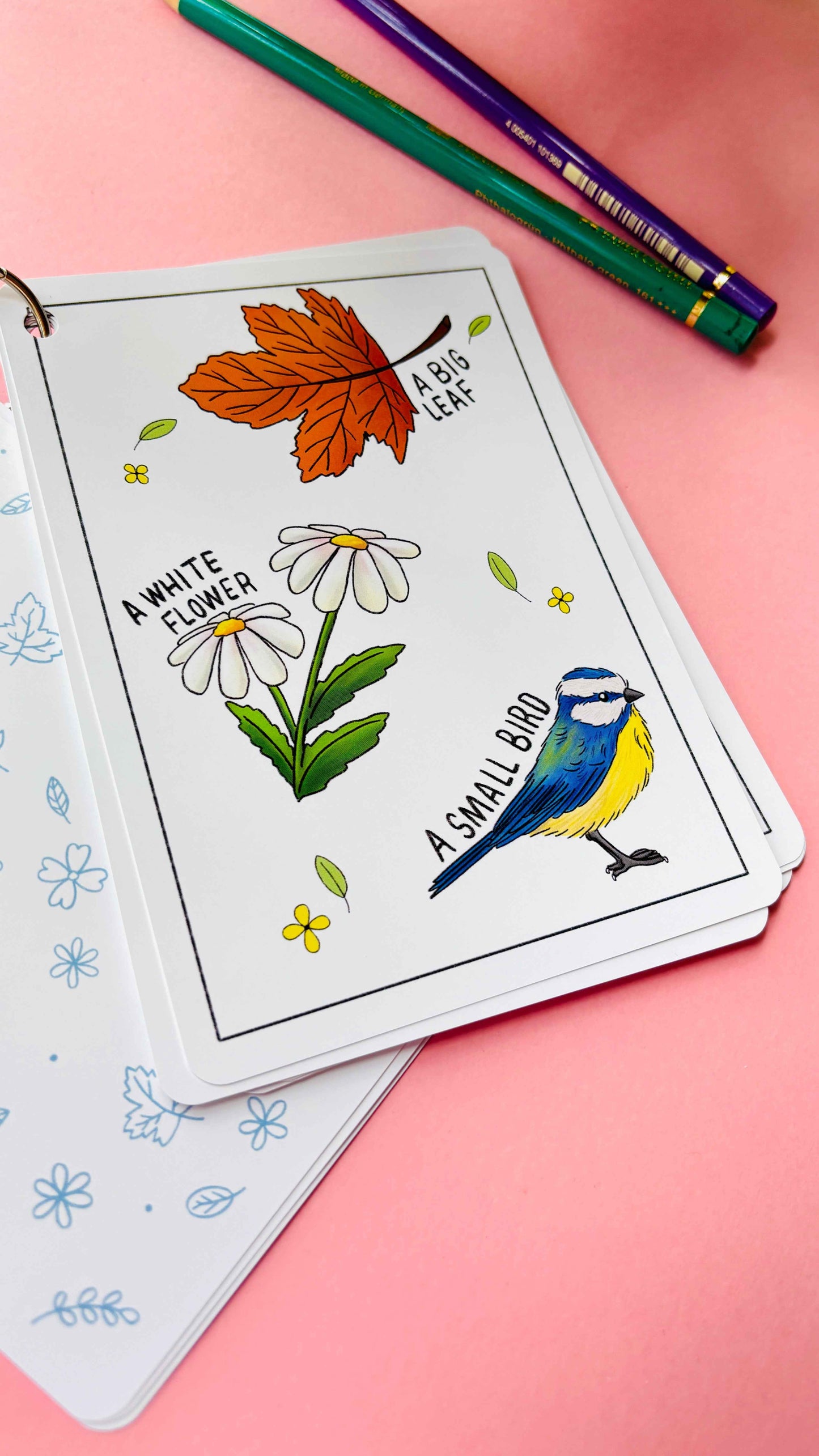 Nature Explorer Scavenger Hunt Cards- Illustrated Educational Activity Cards for Kids