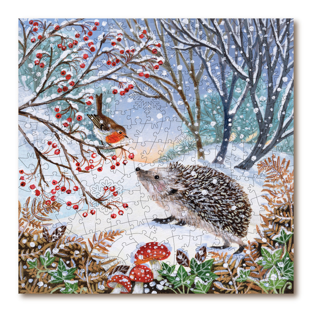 Snowy Hedgehog & Robin