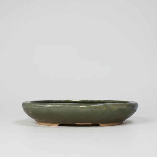 25cm Glazed Bonsai Pot | Oval | 25cm x 18cm x 4.5cm | Green