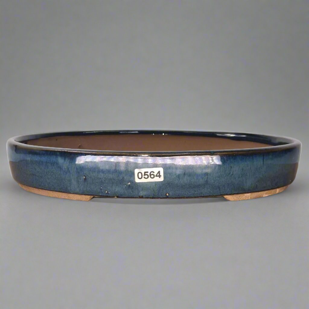 26cm Glazed Bonsai Pot | Oval | 26cm x 19cm x 4cm | Blue