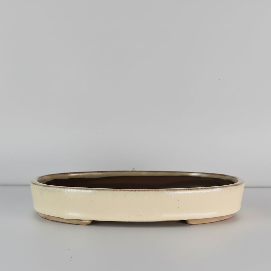 26cm Glazed Bonsai Pot | Oval | 26cm x 19cm x 4cm | Cream
