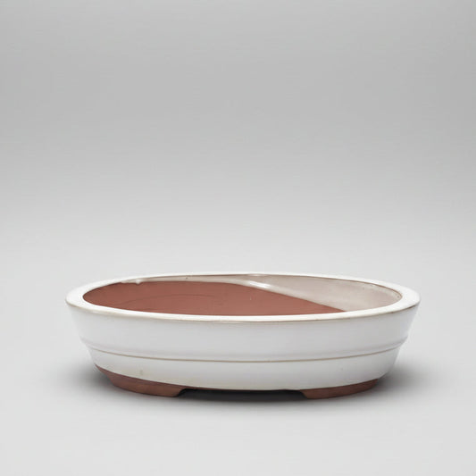 26cm Glazed Bonsai Pot | Oval | 26cm x 20cm x 6cm | White