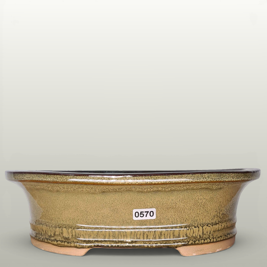 27cm Glazed Bonsai Pot | Oval | 27cm x 22cm x 8cm | Green