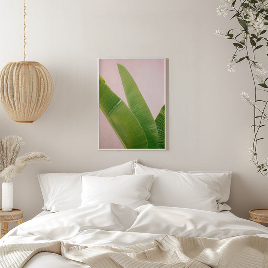 Merida Green on Pink Print