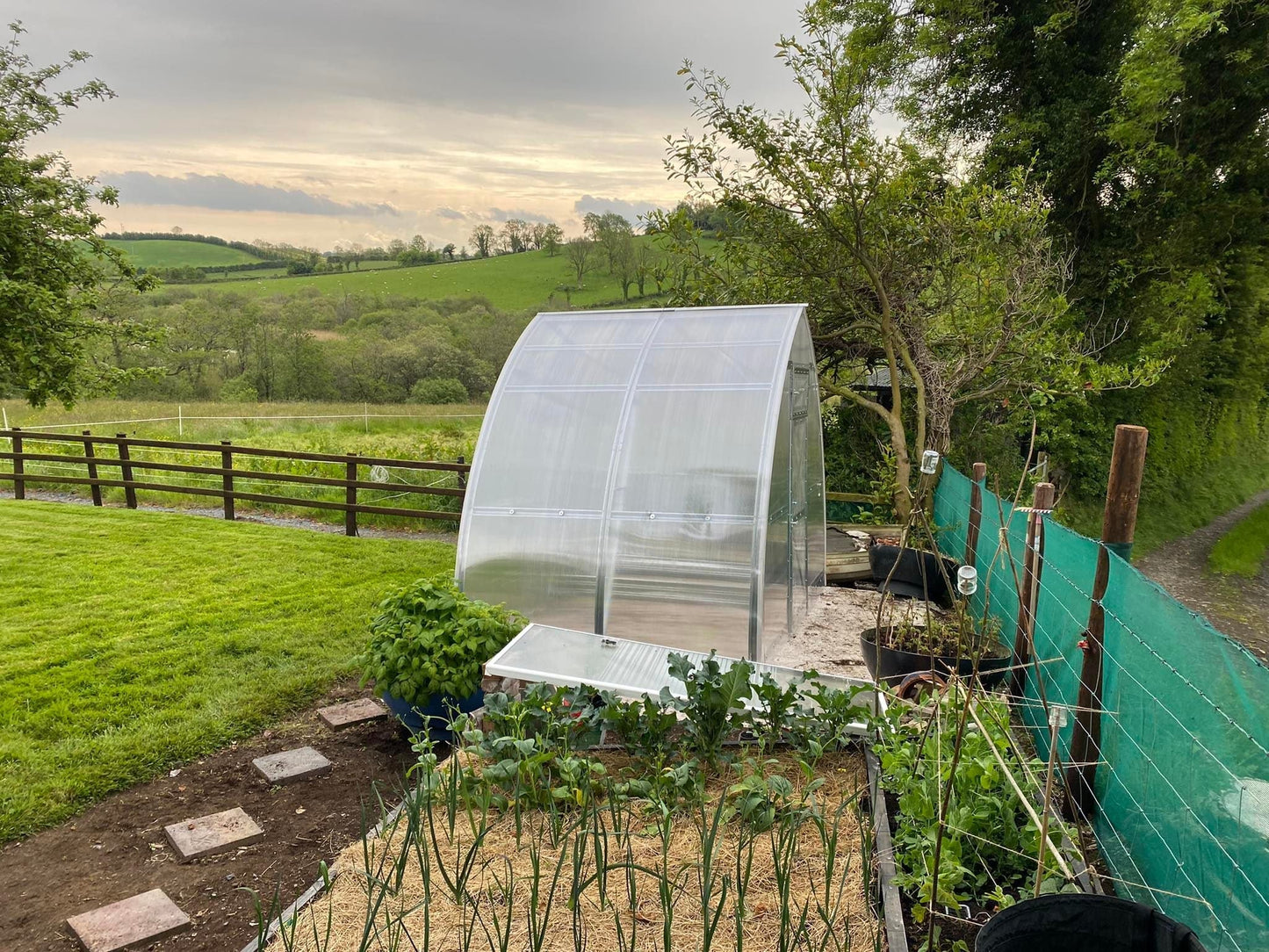 GREENHOUSE SUNGROW, 6M² (3M X 2M; 9.8FT X 6.5FT)