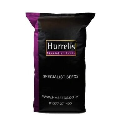 20kg - FR CSI Premium Football & Rugby Pitch With Creeping Rye Grass Seed Mix