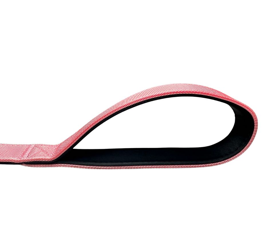 Nylon BTactical™ Carabiner Clip Lead | Pretty Pink