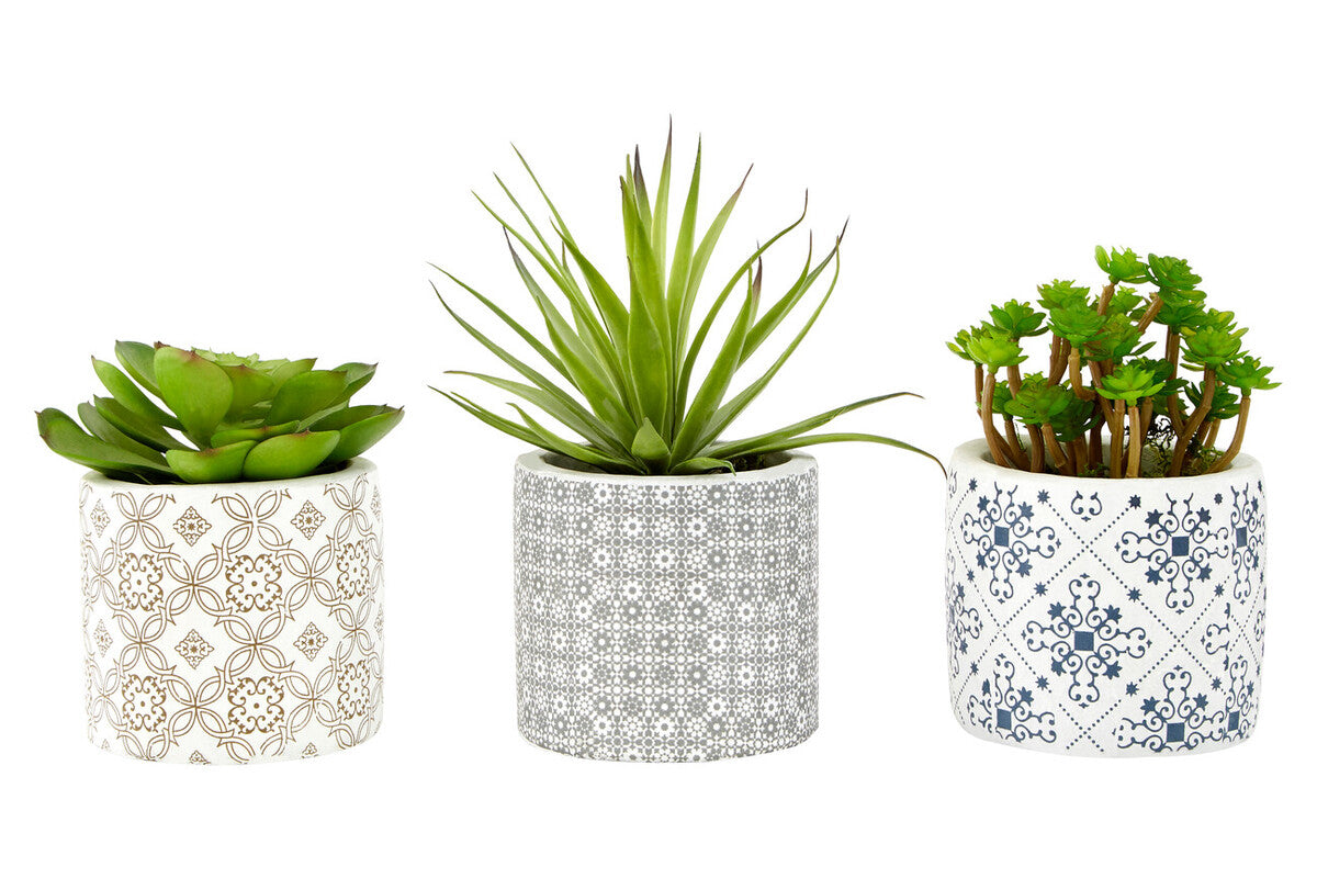 Fiori Set of 3 Succulents in Henna Ceramic Pots