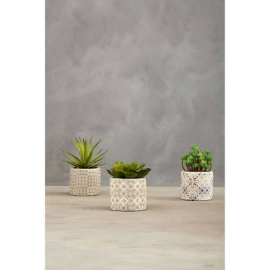 Fiori Set of 3 Succulents in Henna Ceramic Pots