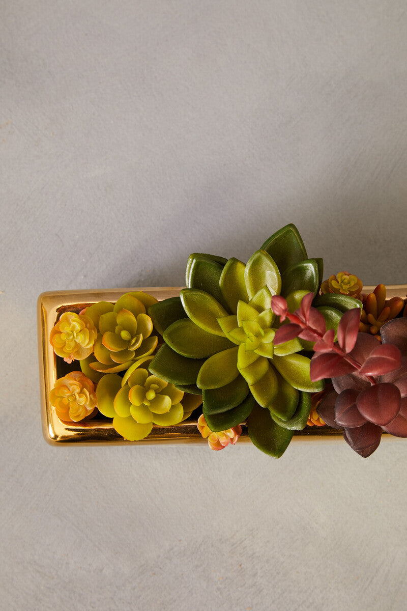 Fiori Mixed Succulents with Ceramic Gold Pot