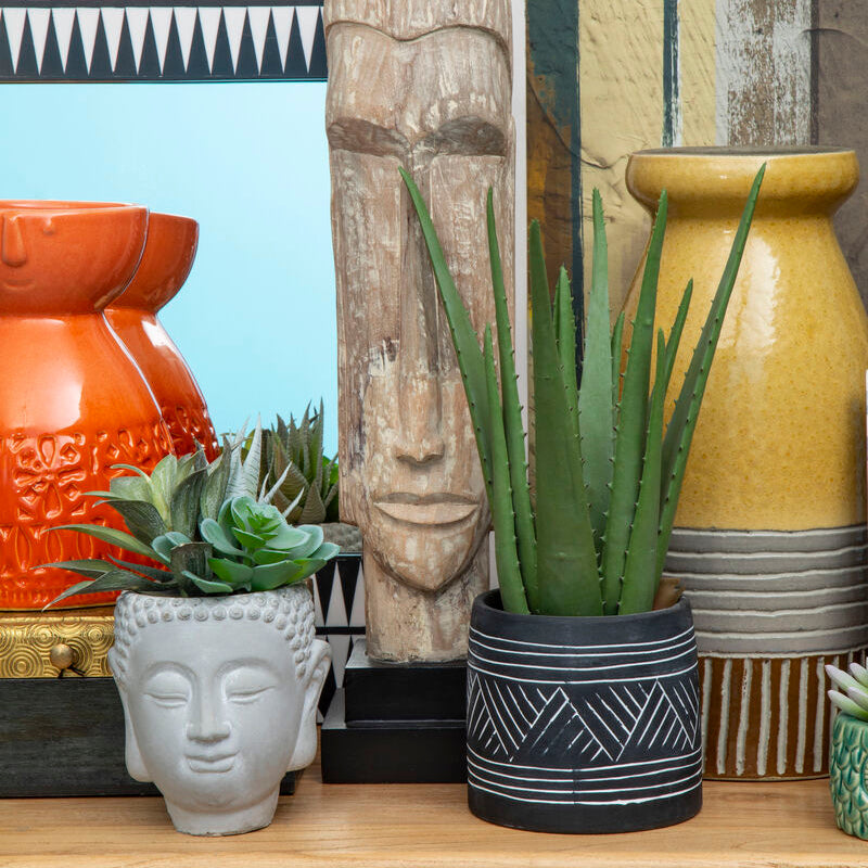 Buddha Pot Mixed Succulent | Fiori