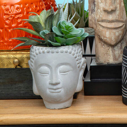 Buddha Pot Mixed Succulent | Fiori