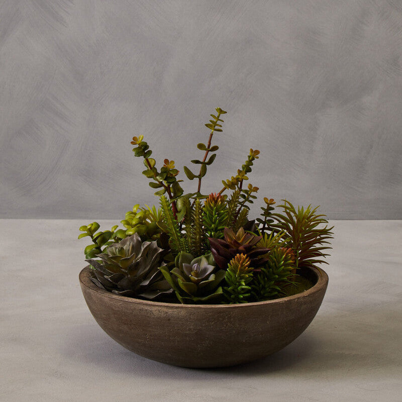 Fiori Mixed Succulent In Stone Effect Pot