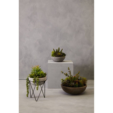 Fiori Mixed Succulent with Metal Stand
