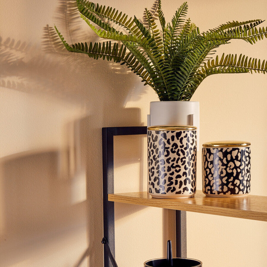Fiori Fern In White Ceramic Pot With Iron Stand