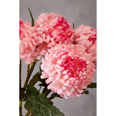 Fiori Pink Chrysanthemum Flower Stem