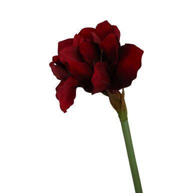 Fiori 72cm Amarylilis Burgundy Stem
