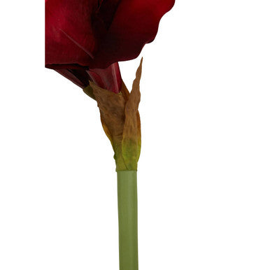 Fiori 72cm Amarylilis Burgundy Stem