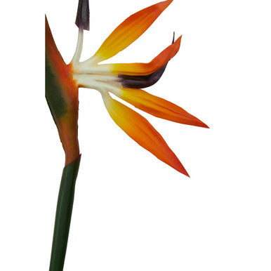 Fiori Artificial flowers 92cm Bird Of Paradise