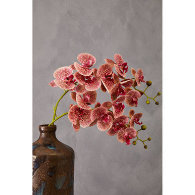 Fiori 100cm Spray Pink Orchid