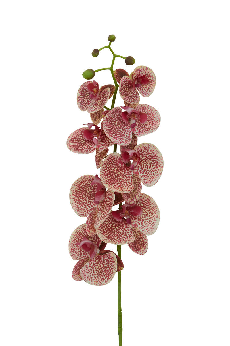 Fiori 100cm Spray Pink Orchid