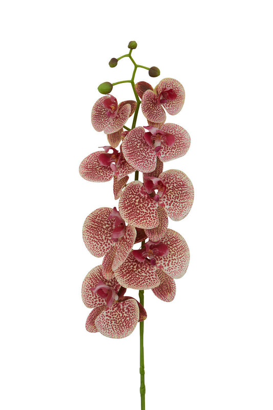 Fiori 100cm Spray Pink Orchid