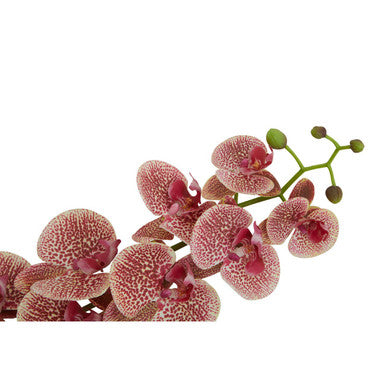 Fiori 100cm Spray Pink Orchid