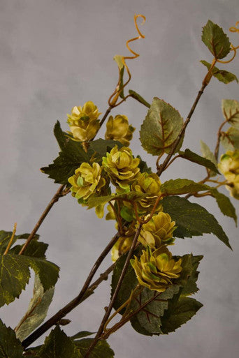 Fiori Faux Pale Lime Hops Stem