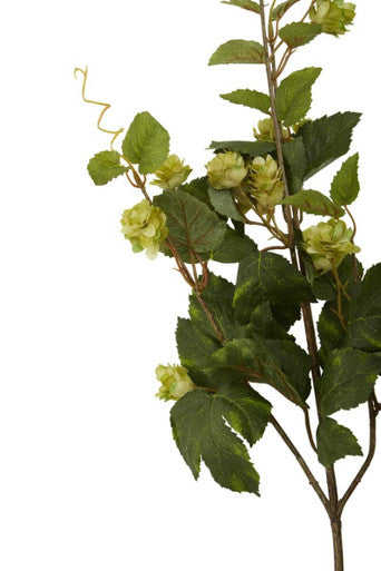 Fiori Faux Pale Lime Hops Stem