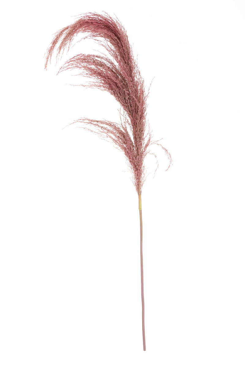 Fiori Tall Pink Pampas Grass Stem