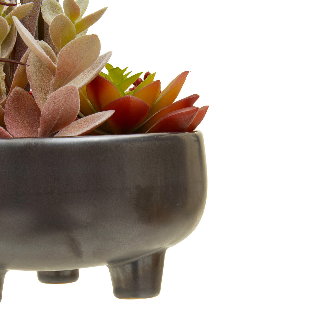 Fiori Mixed Succulents In Grey Ceramic Pot