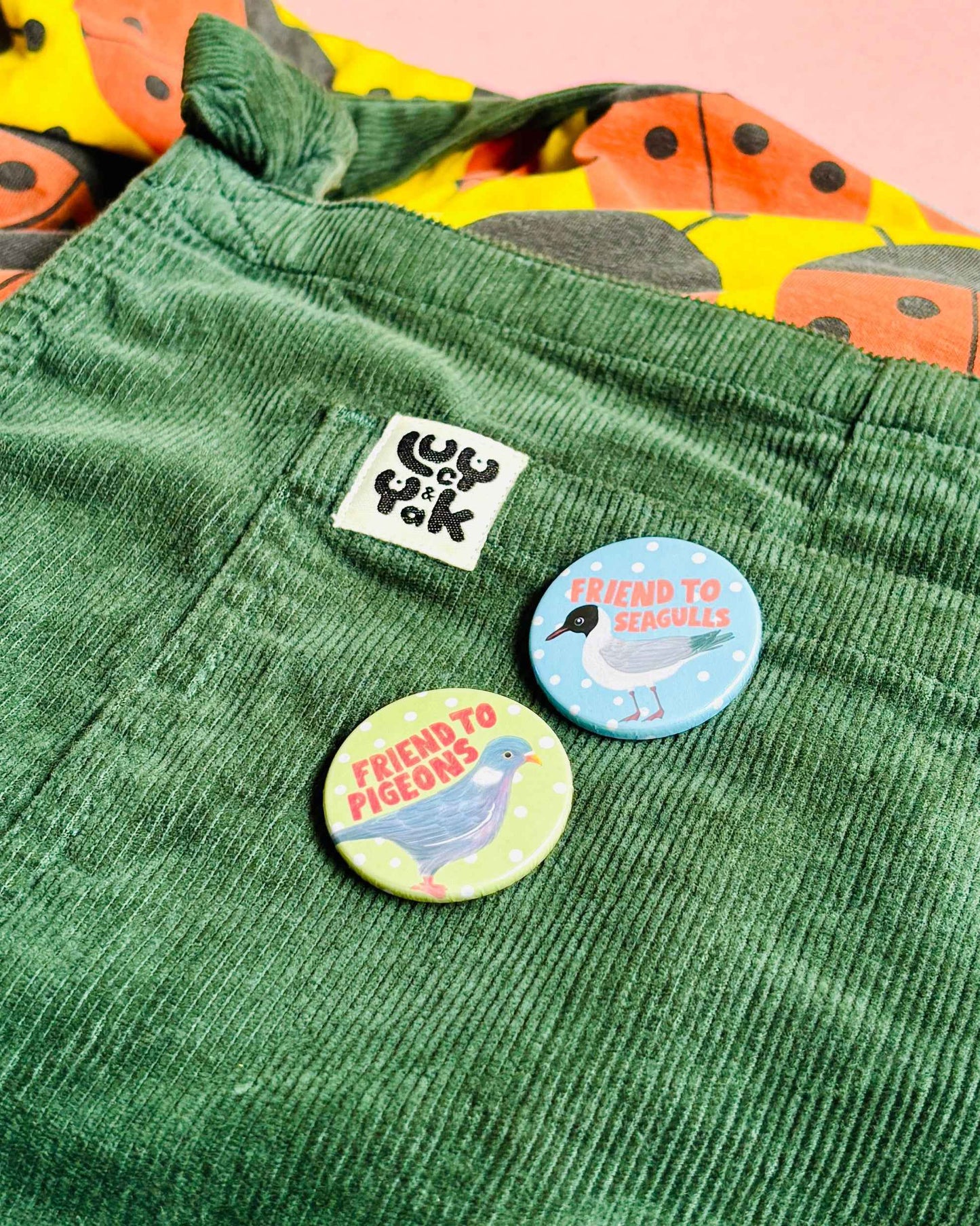 Pigeon Gift Handmade Pin Badge or Magnet- Friend to Pigeons