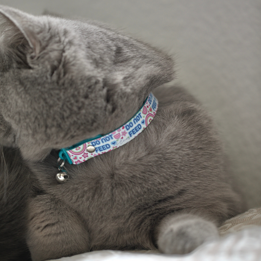 KITTYRAMA PEARL 'DO NOT FEED' CAT COLLAR - Quick Release, Breakaway, Hypoallergenic