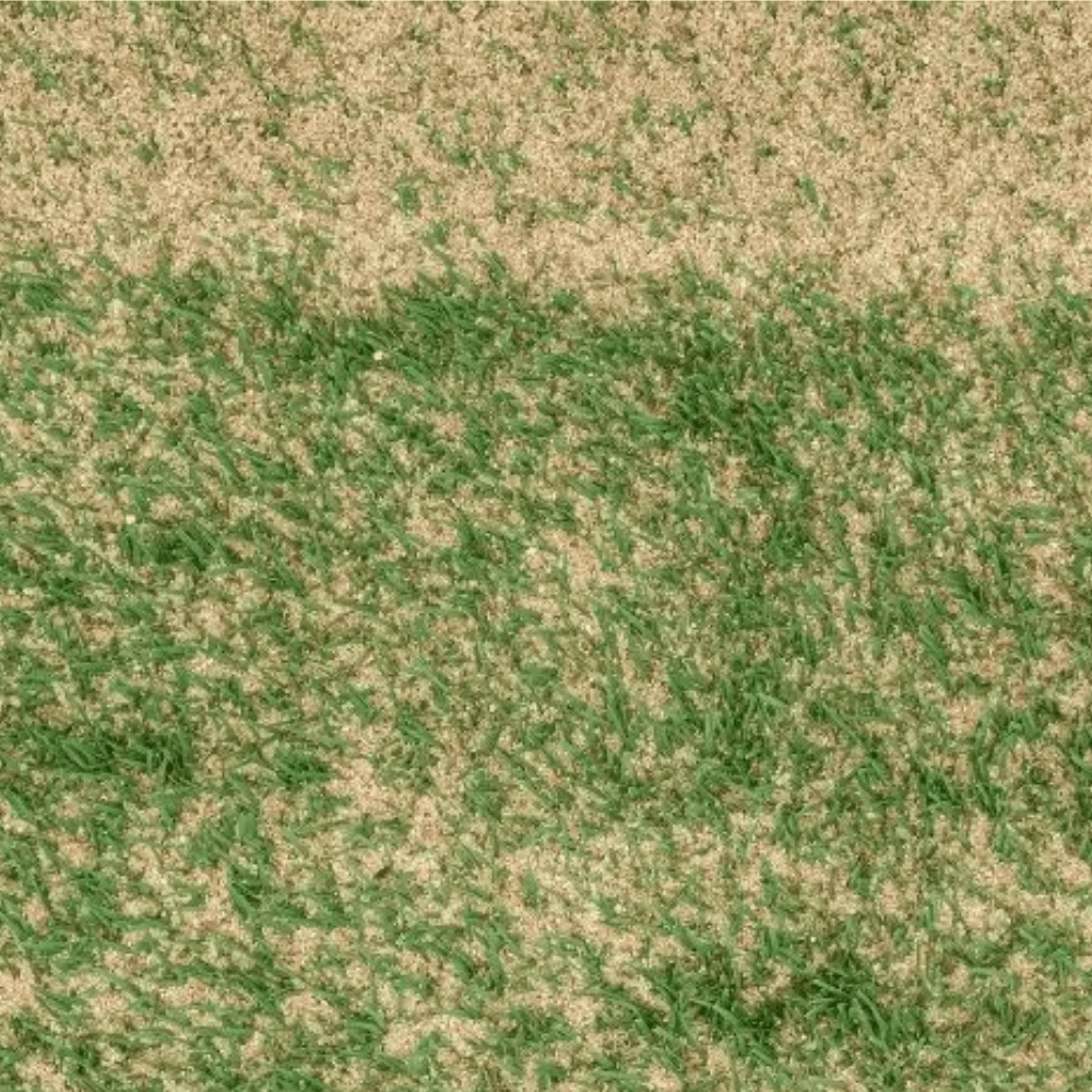 Sports Sand Dressing