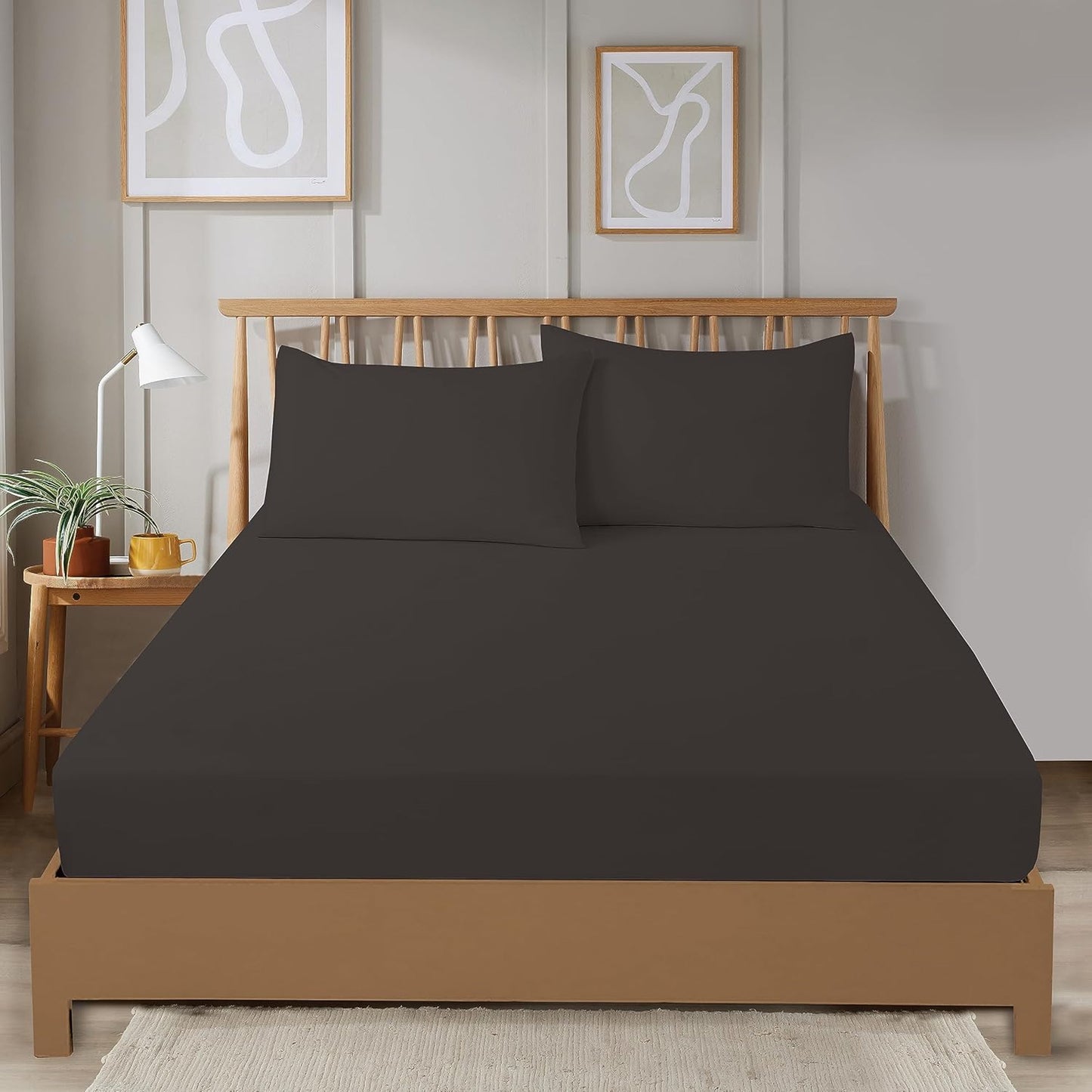 Plain Dye Luxurious Super Soft Fitted Sheets Easy Care Bed Linen Sets Multiple Colours Single Double King 3/4 Sizes by OLIVIA ROCCO