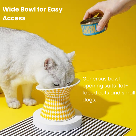 zeze Popart Ceramic Pet Bowl