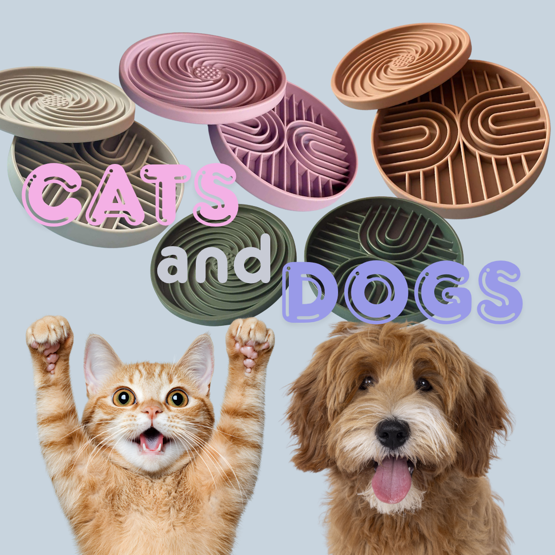 Slow & Steady - 2-in-1 Slow Feeder Bowl & Lick Mat | Calmer Mealtimes | Tail Tips UK