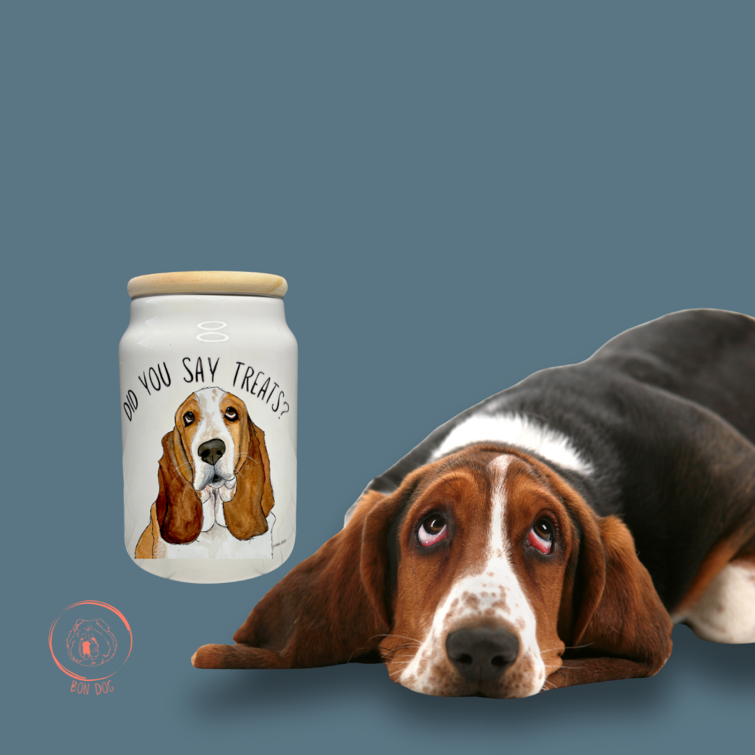 The Basset Biscuit Vault – No Treat Left Behind