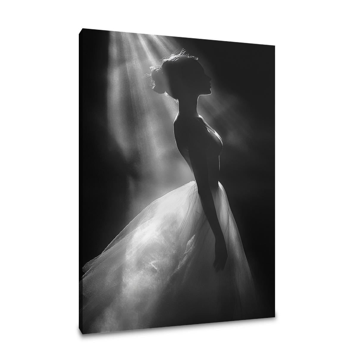 Spotlight Elegance Canvas