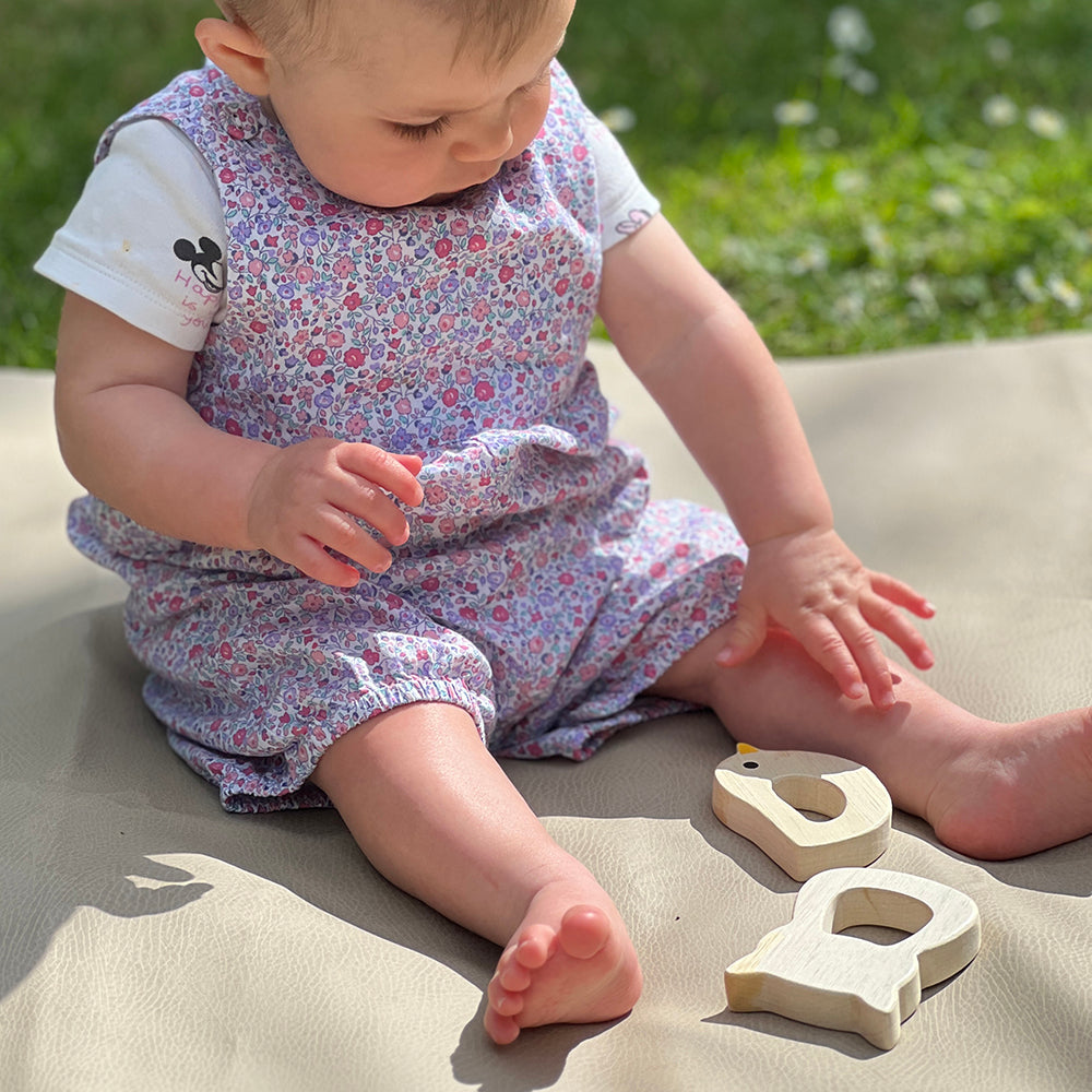 Bird & Kitten Teethers