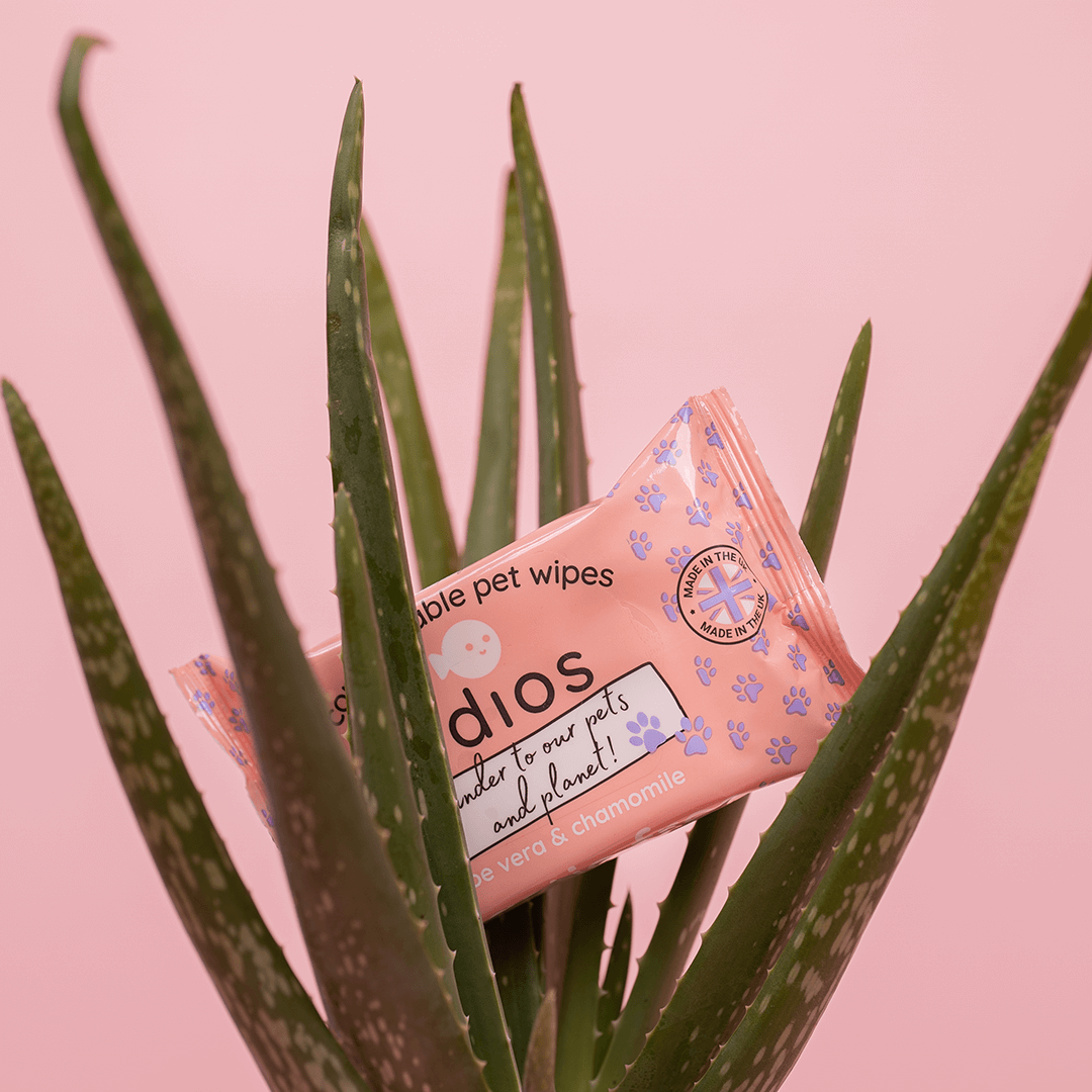 🌱 Compostable Pet Wipes 🐶🐾