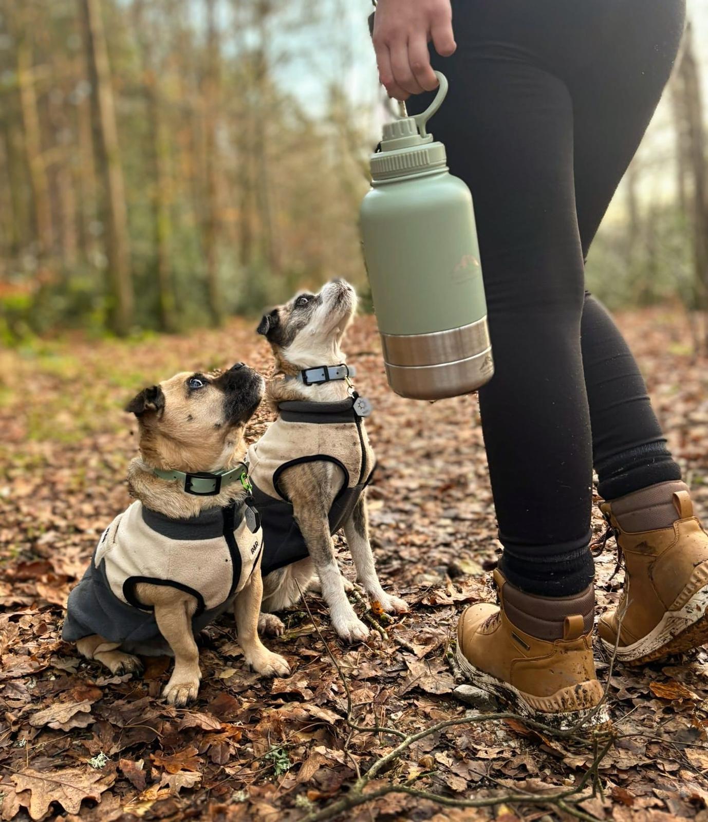 Fido's Trails 3-in-1 Water Bottle with Detachable Bowls – For Dogs & Owners, 1 Litre Sage