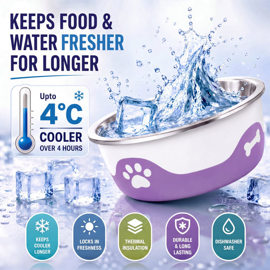 ThermaCool Dog Bowl - Grape