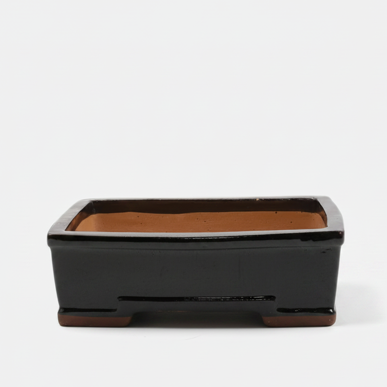 31cm Glazed Bonsai Pot | Rectangle | 31cm x 25cm x 10cm | Black