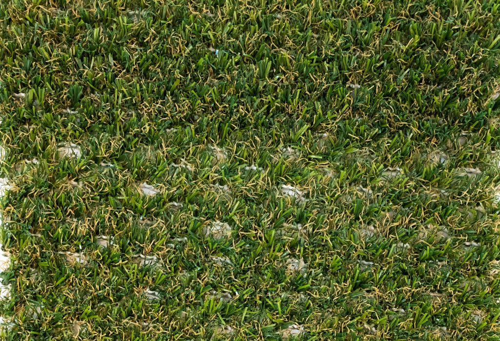 County Hybrid 32 Grass