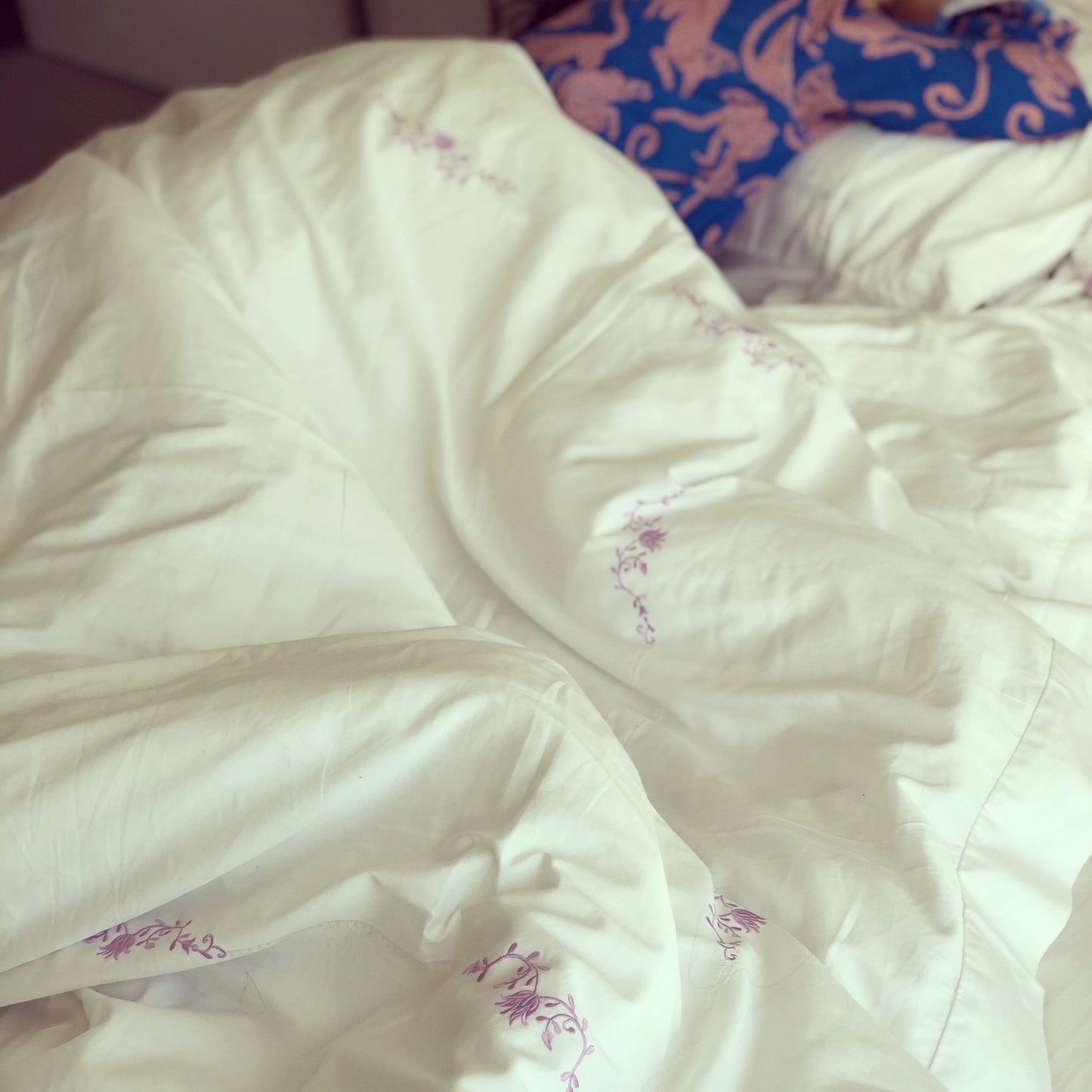 Field of dreams bundle