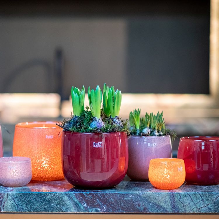 GLASS POT - BEIGE Colour by DutZ
