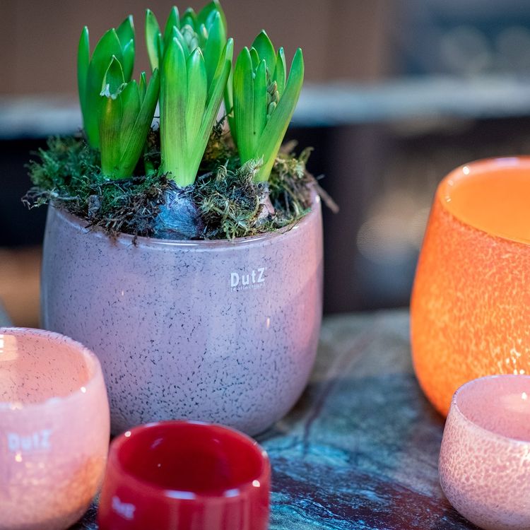 GLASS POT - BEIGE Colour by DutZ