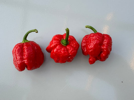 Armageddon Chilli